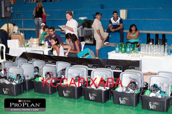 Clique sobre a foto para fechar